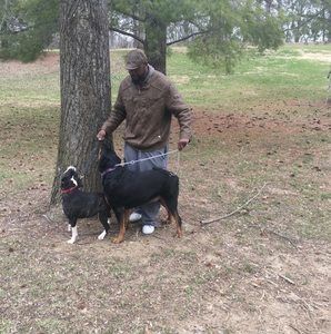 Meet your Posher, Wade